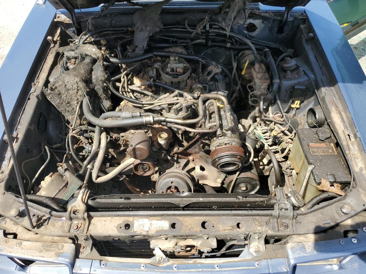 1FABP26M5EF147824 1984 Ford Mustang L