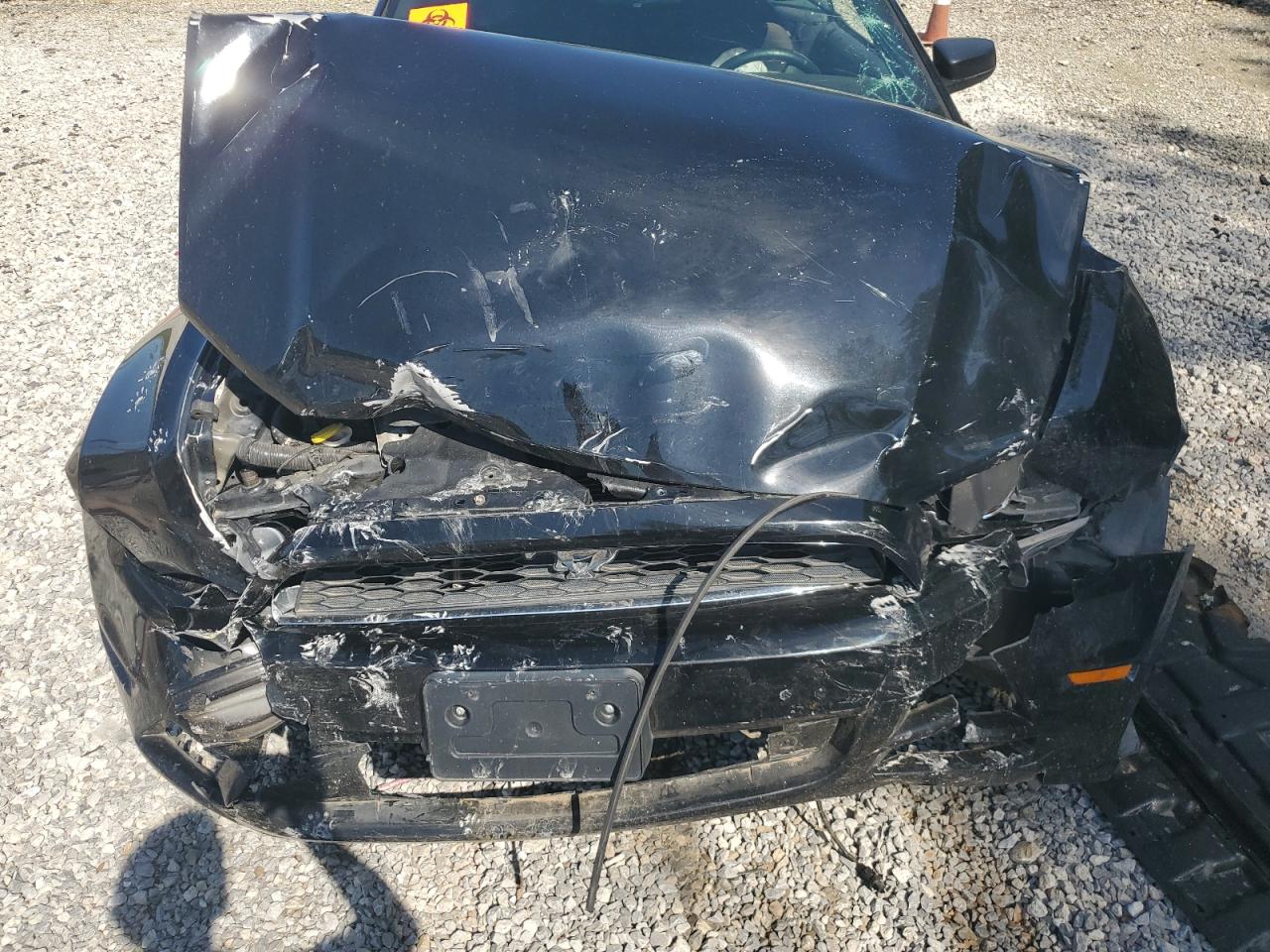 1ZVBP8EM3E5262388 2014 Ford Mustang