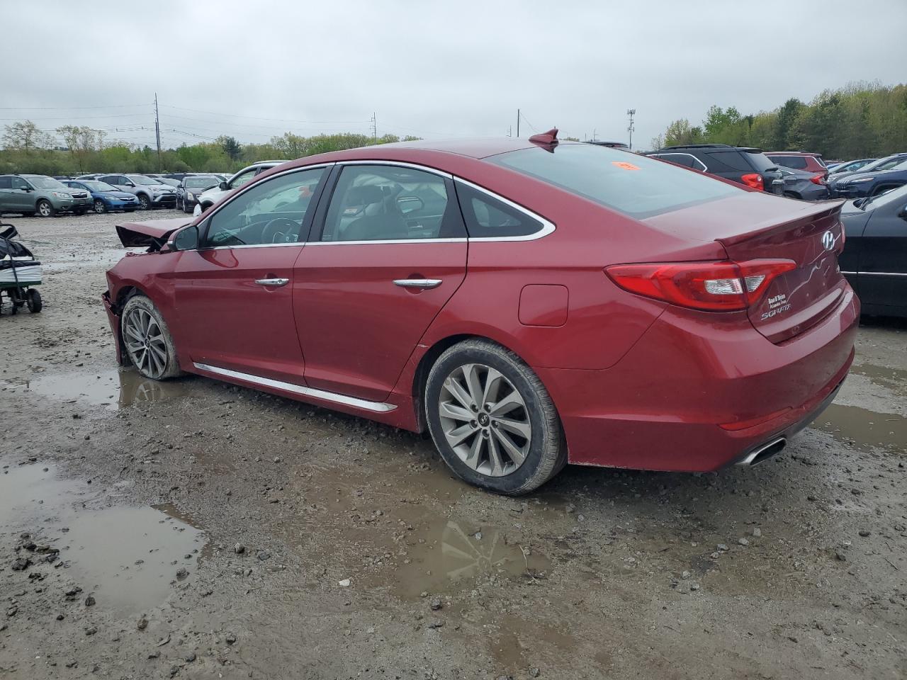 5NPE34AF1GH431841 2016 Hyundai Sonata Sport