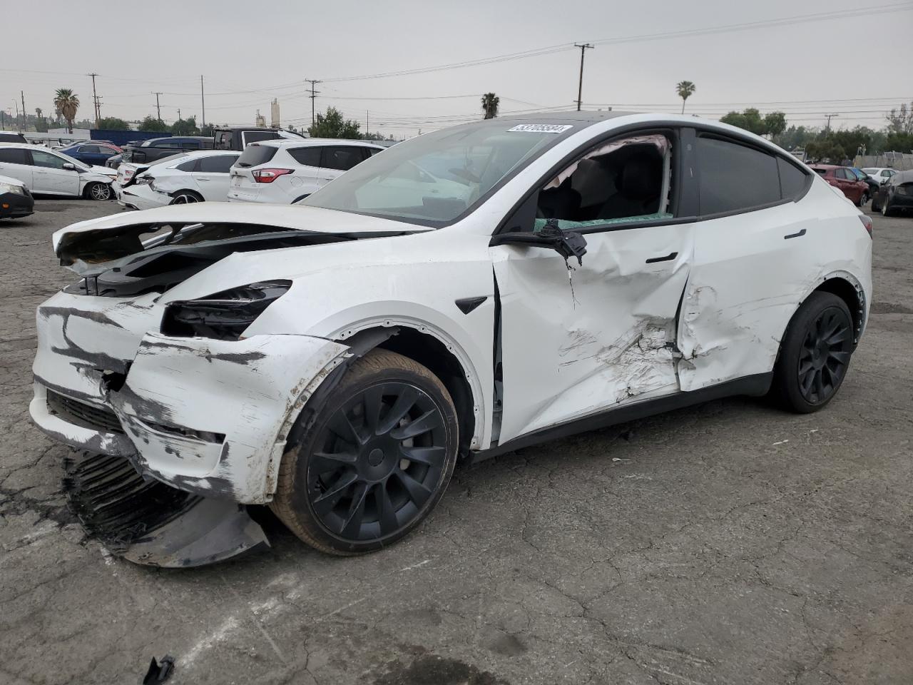 Lot #3028473923 2023 TESLA MODEL Y