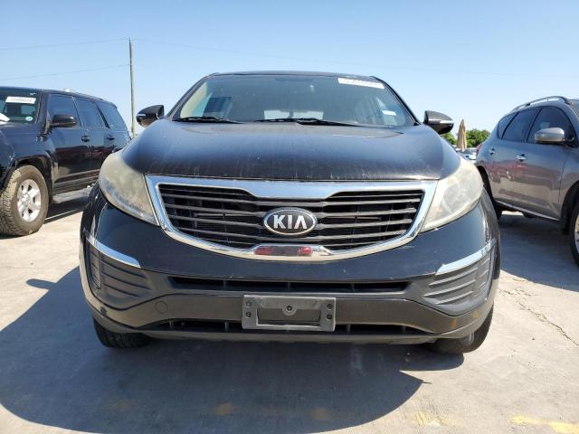 2013 Kia Sportage Base VIN: KNDPB3A28D7429765 Lot: 55618644