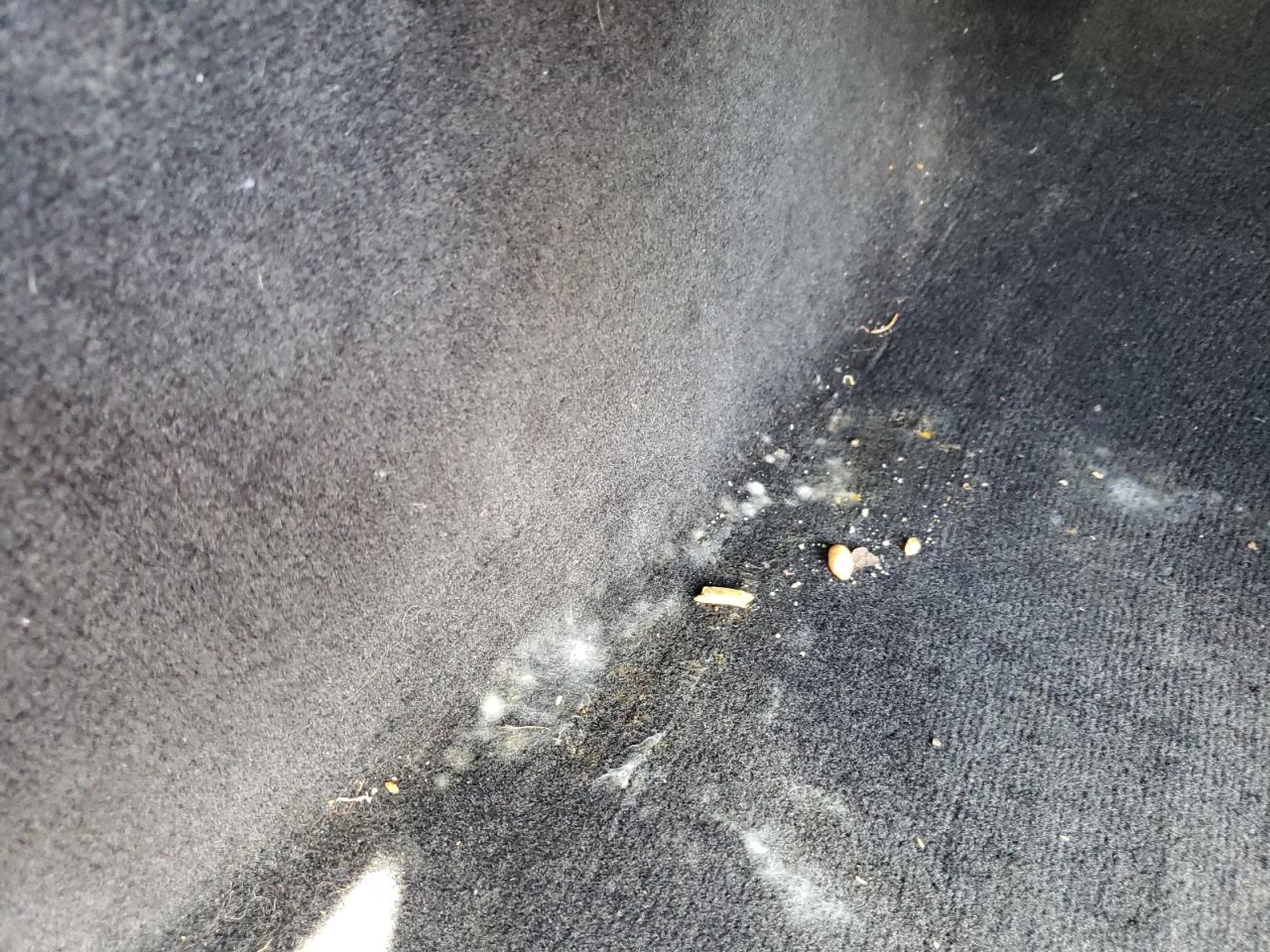 2C3CDYAG2CH104229 2012 Dodge Challenger Sxt