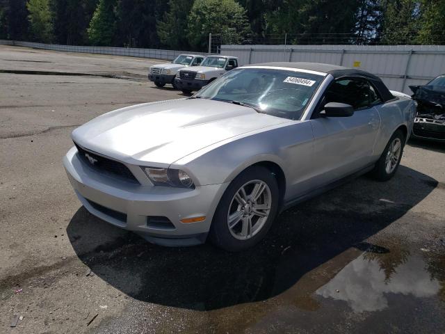 Lot #2521444708 2011 FORD MUSTANG salvage car