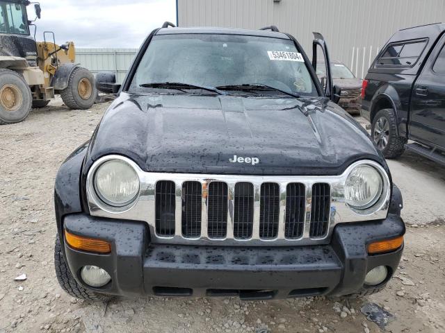 2004 Jeep Liberty Limited VIN: 1J4GL58K84W262080 Lot: 53461804