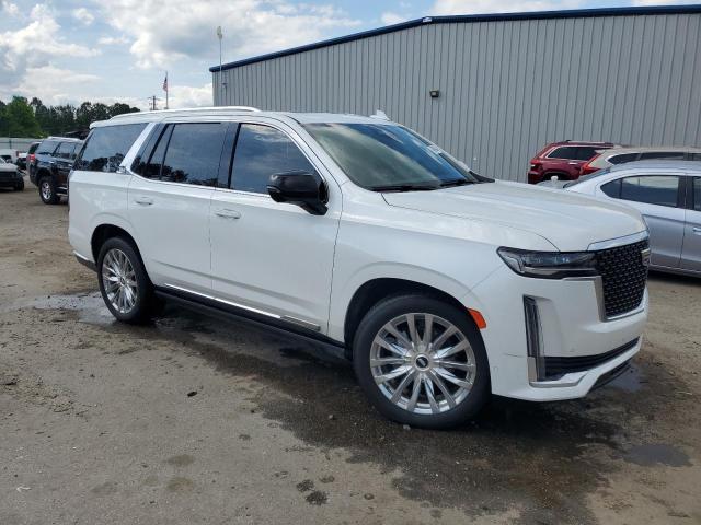 2021 CADILLAC ESCALADE P - 1GYS4CKL4MR240864