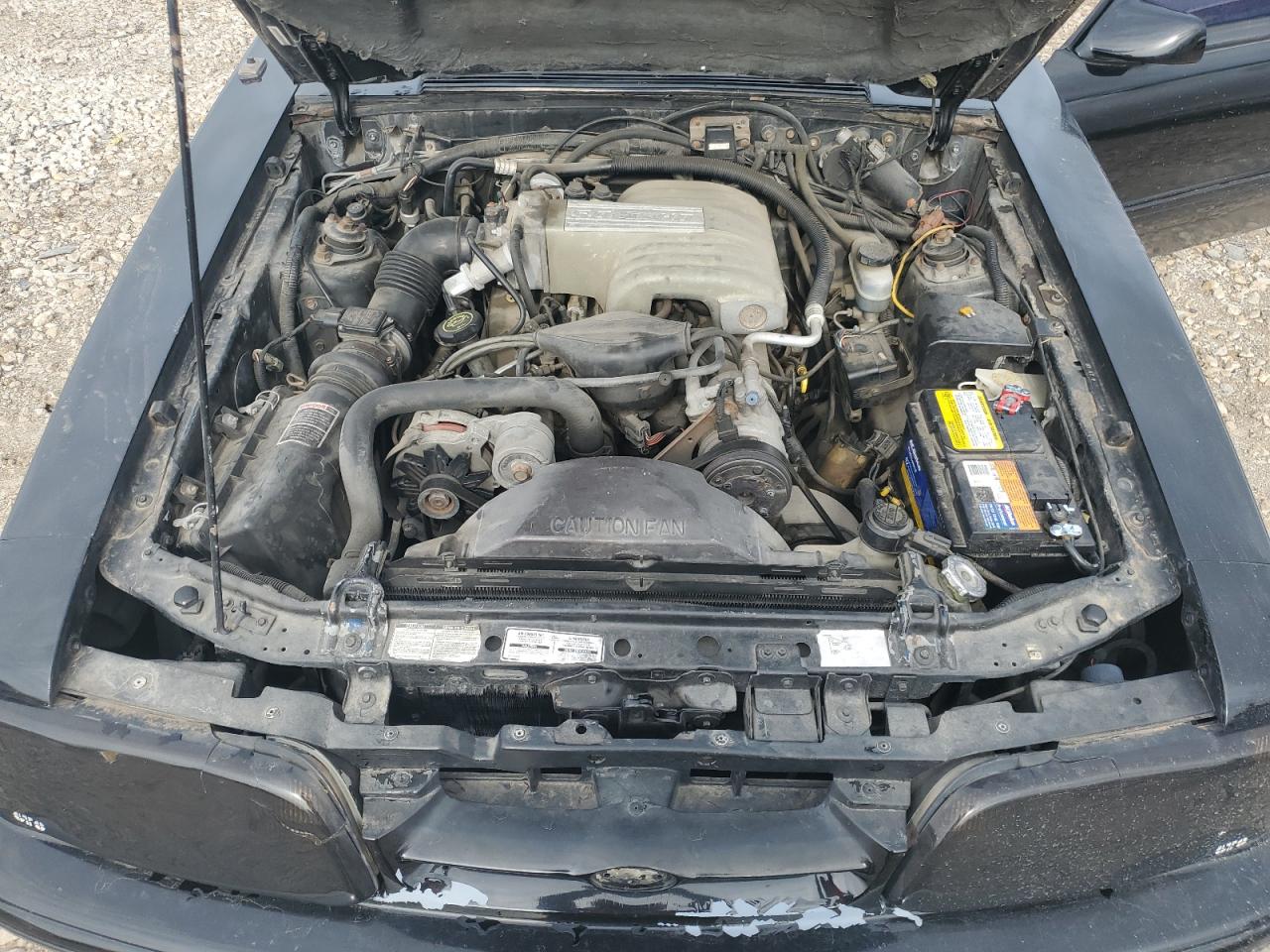 1FACP41E7NF153964 1992 Ford Mustang Lx