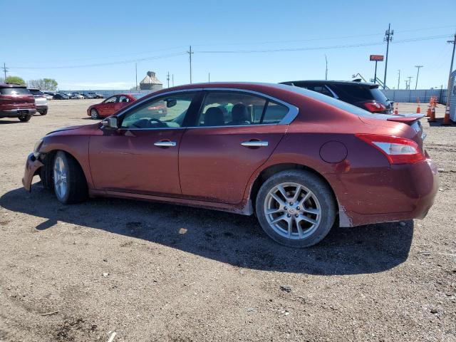 2010 Nissan Maxima S VIN: 1N4AA5AP1AC823620 Lot: 53630174