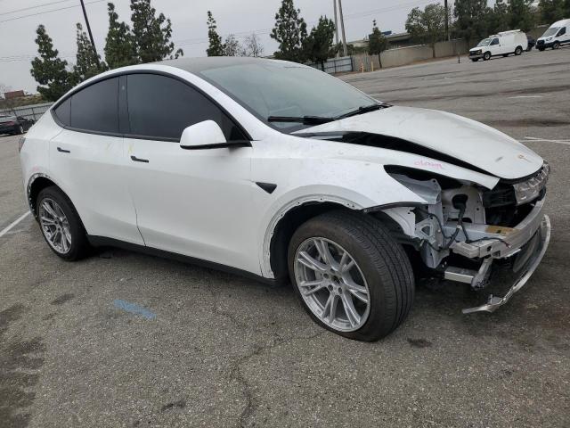 5YJYGDEE4MF071204 2021 Tesla Model Y