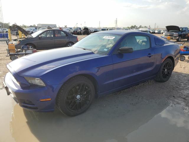 2014 Ford Mustang VIN: 1ZVBP8AM5E5231388 Lot: 56755344