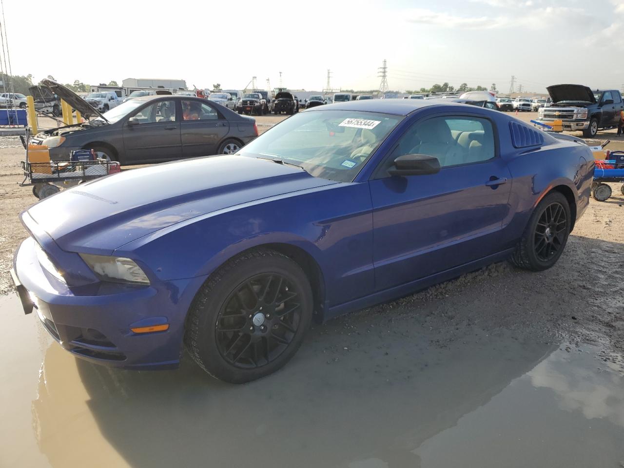 1ZVBP8AM5E5231388 2014 Ford Mustang