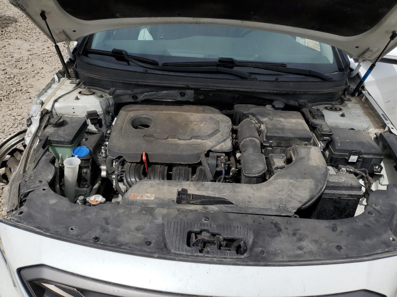 5NPE34AF5GH412919 2016 Hyundai Sonata Sport