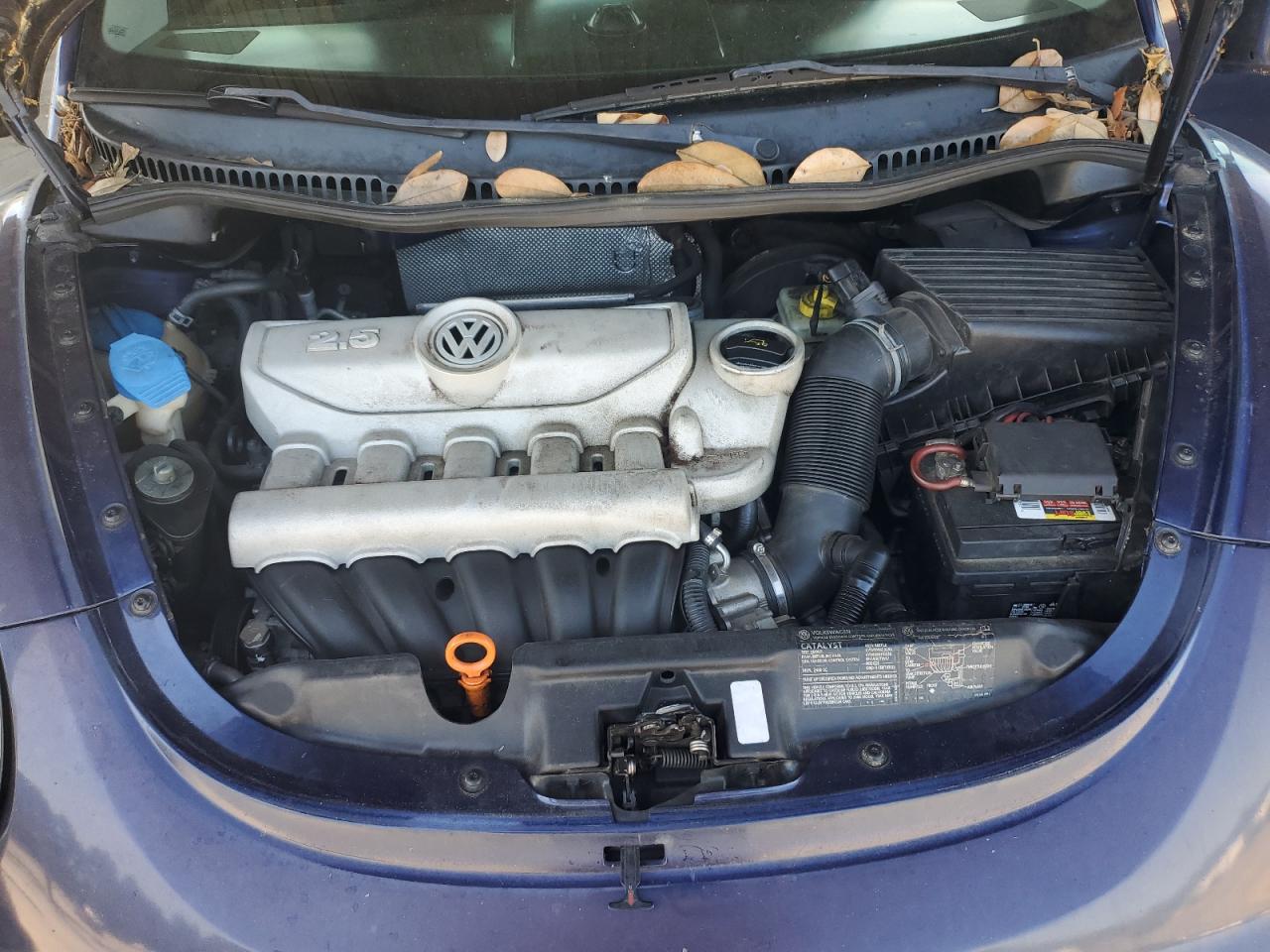 3VWRF31Y86M312131 2003 Volkswagen New Beetle Convertible Option Package 1