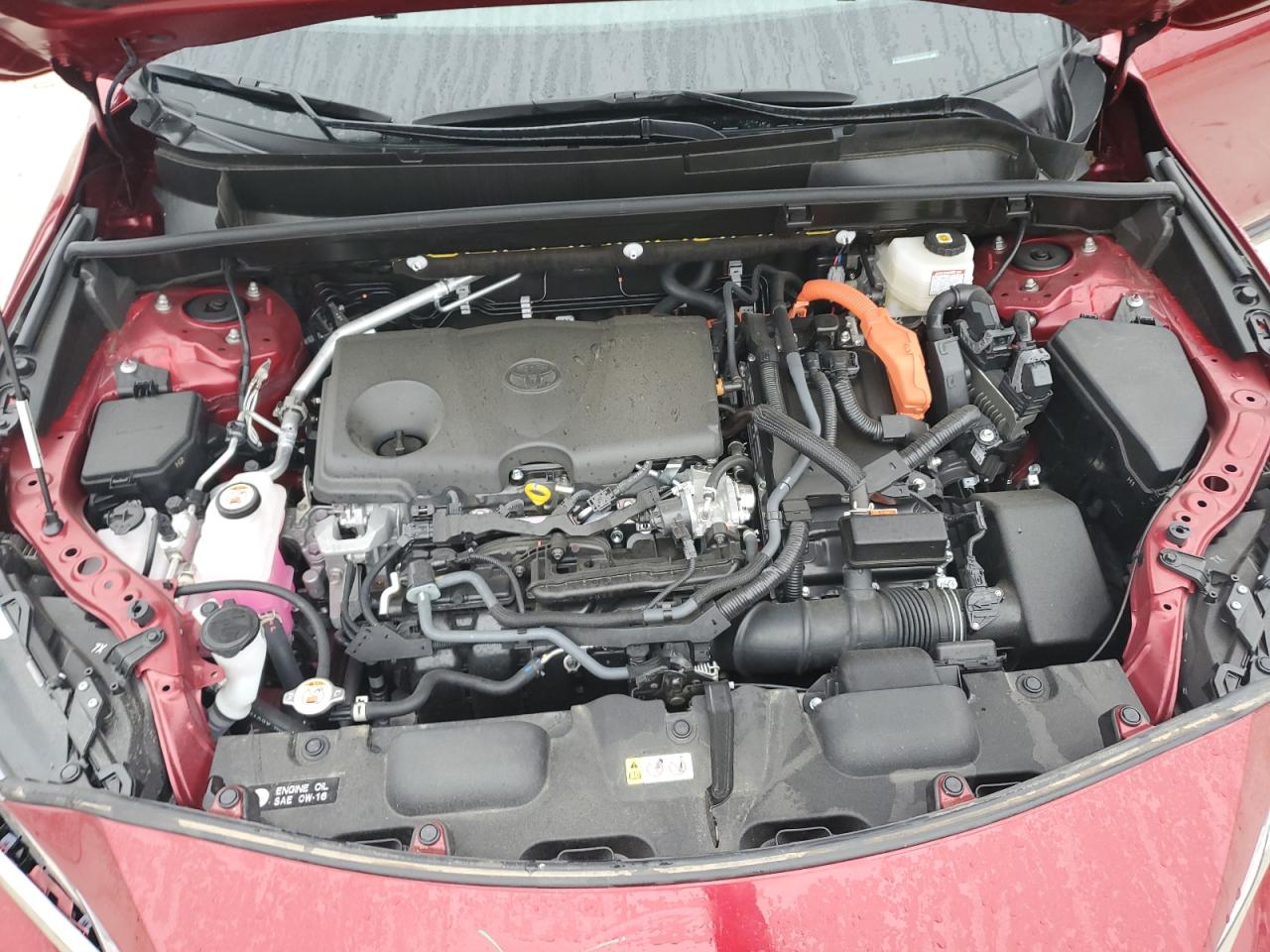 JTEAAAAH0PJ128301 2023 Toyota Venza Le