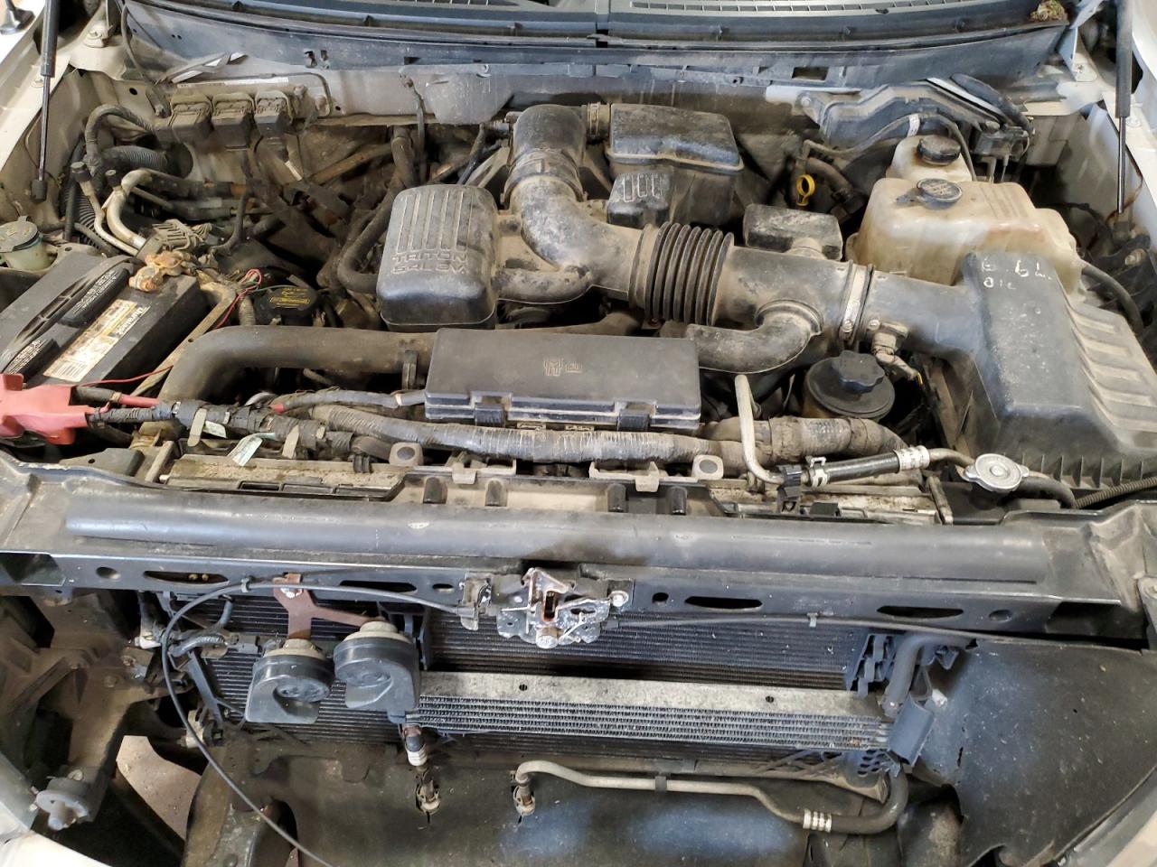 1FTFW1EV5AFA46831 2010 Ford F150 Supercrew