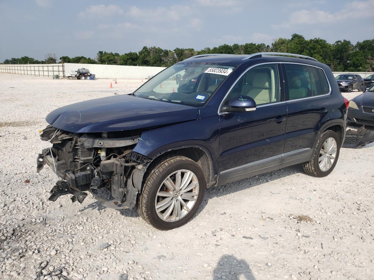 WVGBV3AX9EW579836 2014 Volkswagen Tiguan S