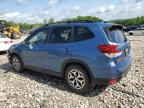 SUBARU FORESTER P photo