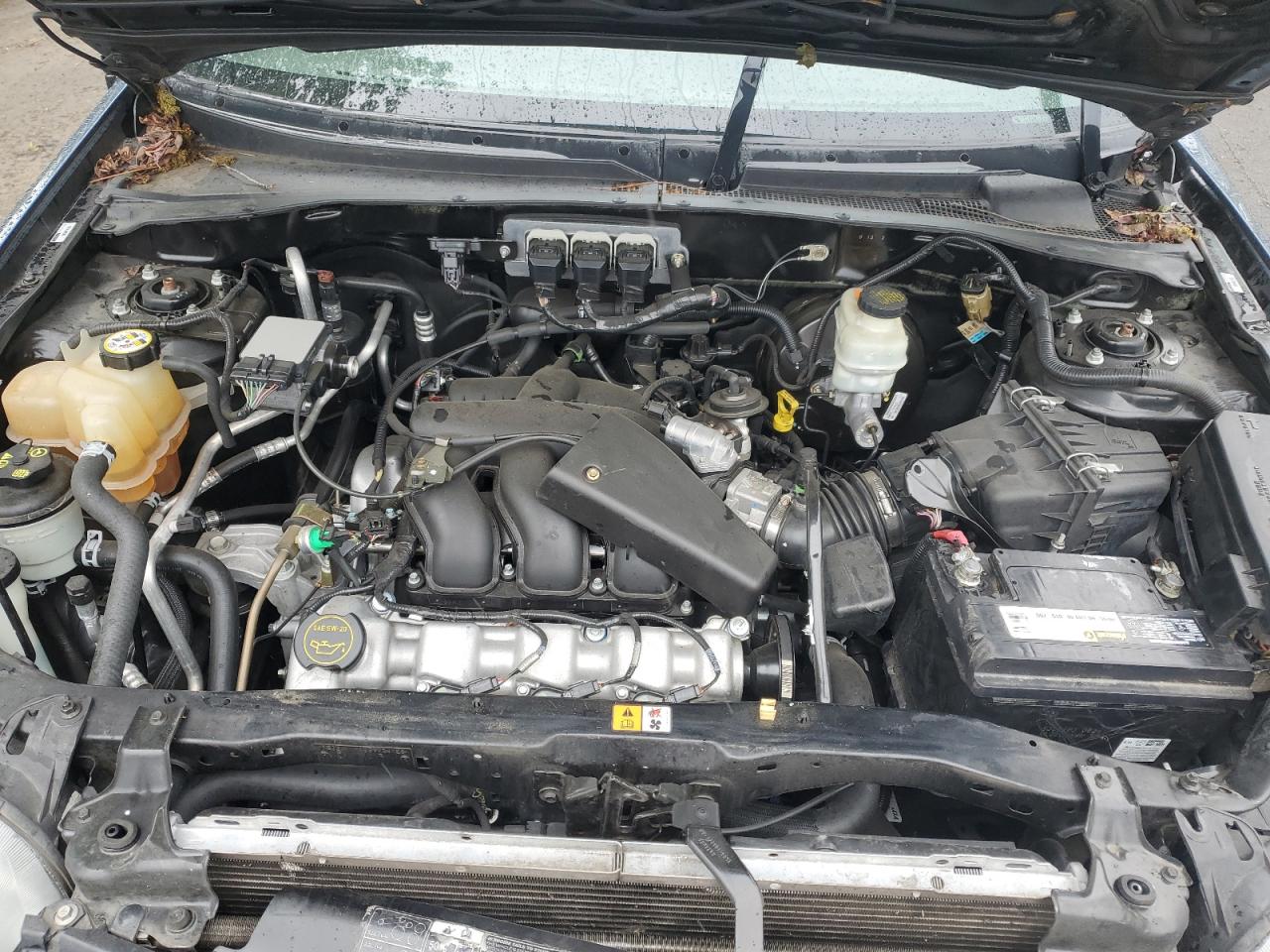 1FMYU93175KB64241 2005 Ford Escape Xlt