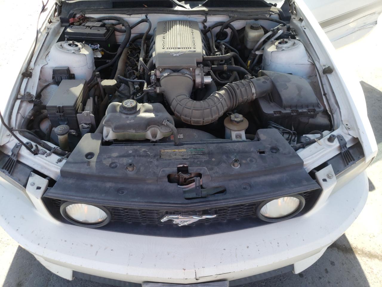 1ZVHT82H385199651 2008 Ford Mustang Gt