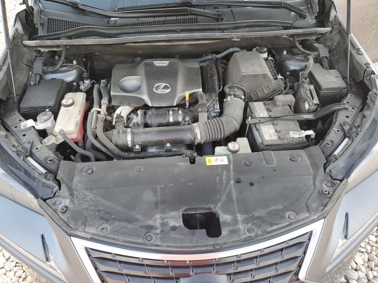 JTJBARBZ3K2190032 2019 Lexus Nx 300 Base