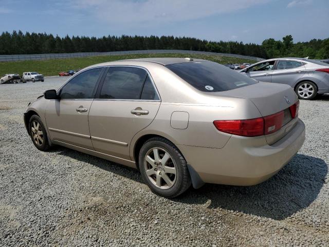 2005 Honda Accord Ex VIN: 1HGCM668X5A031289 Lot: 53573144