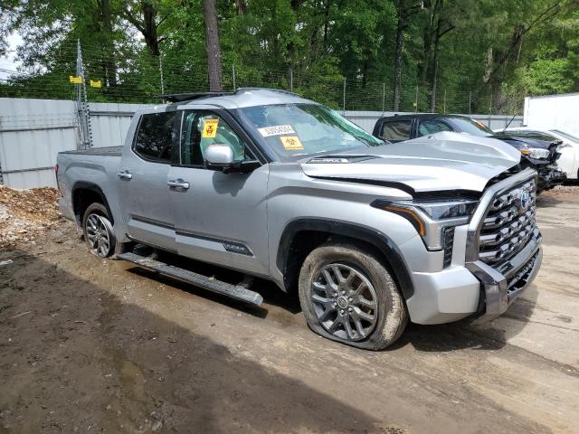 2023 Toyota Tundra Crewmax Platinum VIN: 5TFNC5DB5PX025208 Lot: 53054504