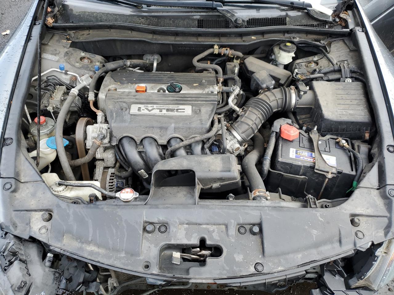 1HGCP264X9A004614 2009 Honda Accord Lxp