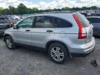 HONDA CR-V EX photo