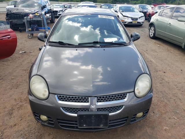 2003 Dodge Neon Sxt VIN: 1B3ES56C13D175872 Lot: 55759654