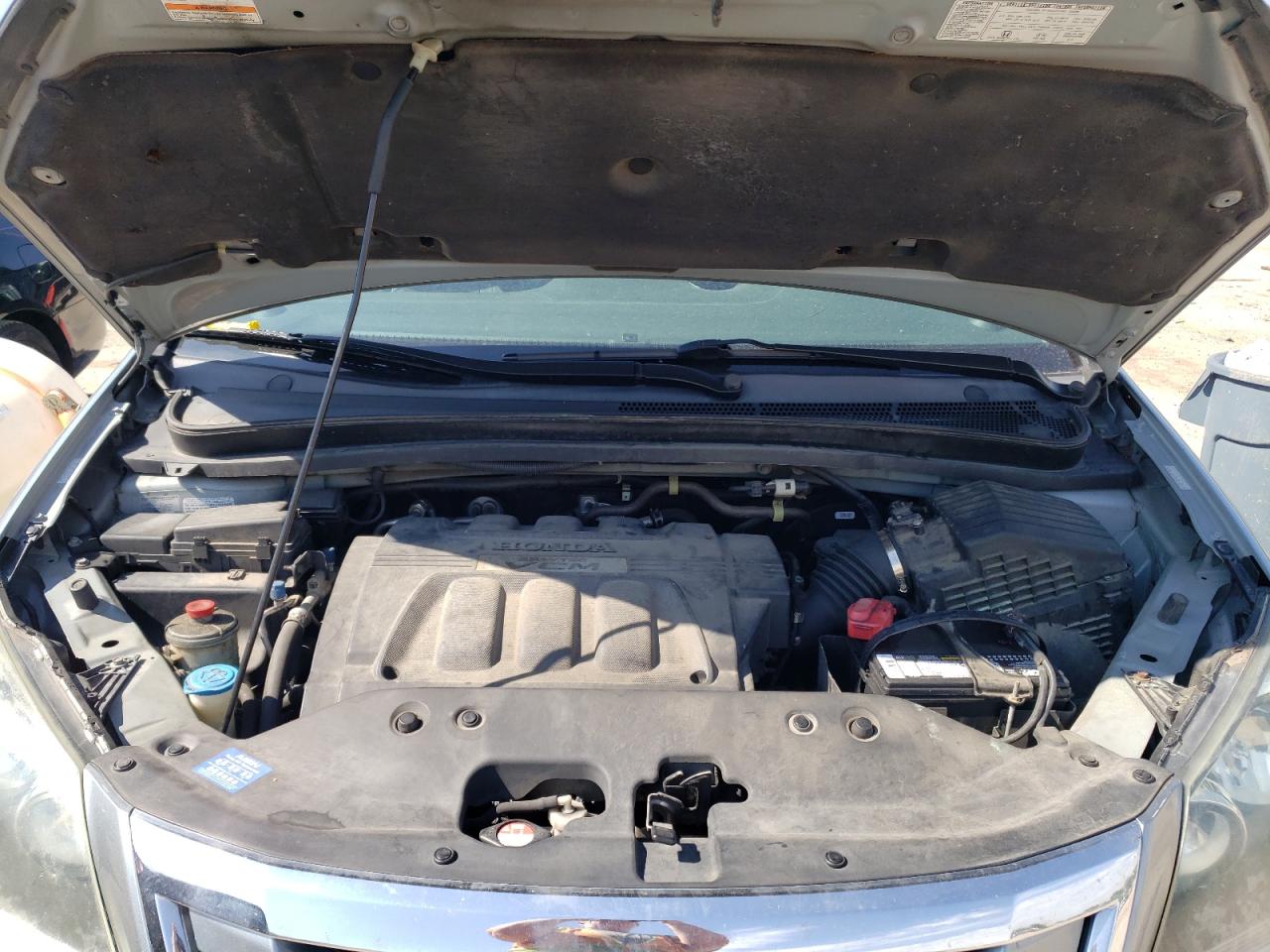 5FNRL38778B044253 2008 Honda Odyssey Exl 5FNRL38778B044253 2008 Honda Odyssey Exl