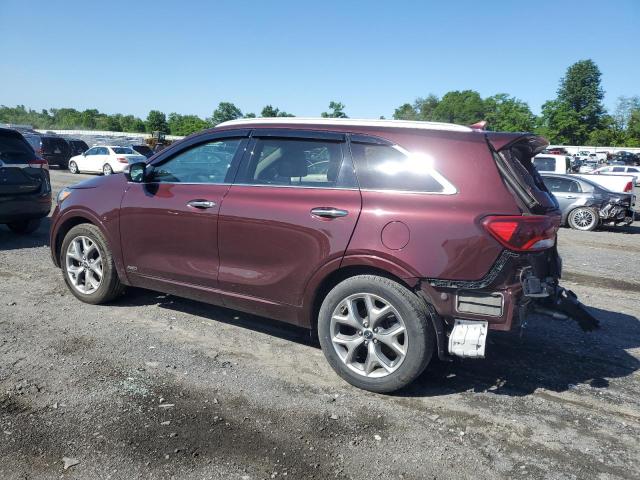 2020 Kia Sorento Sx VIN: 5XYPKDA58LG694204 Lot: 56851504