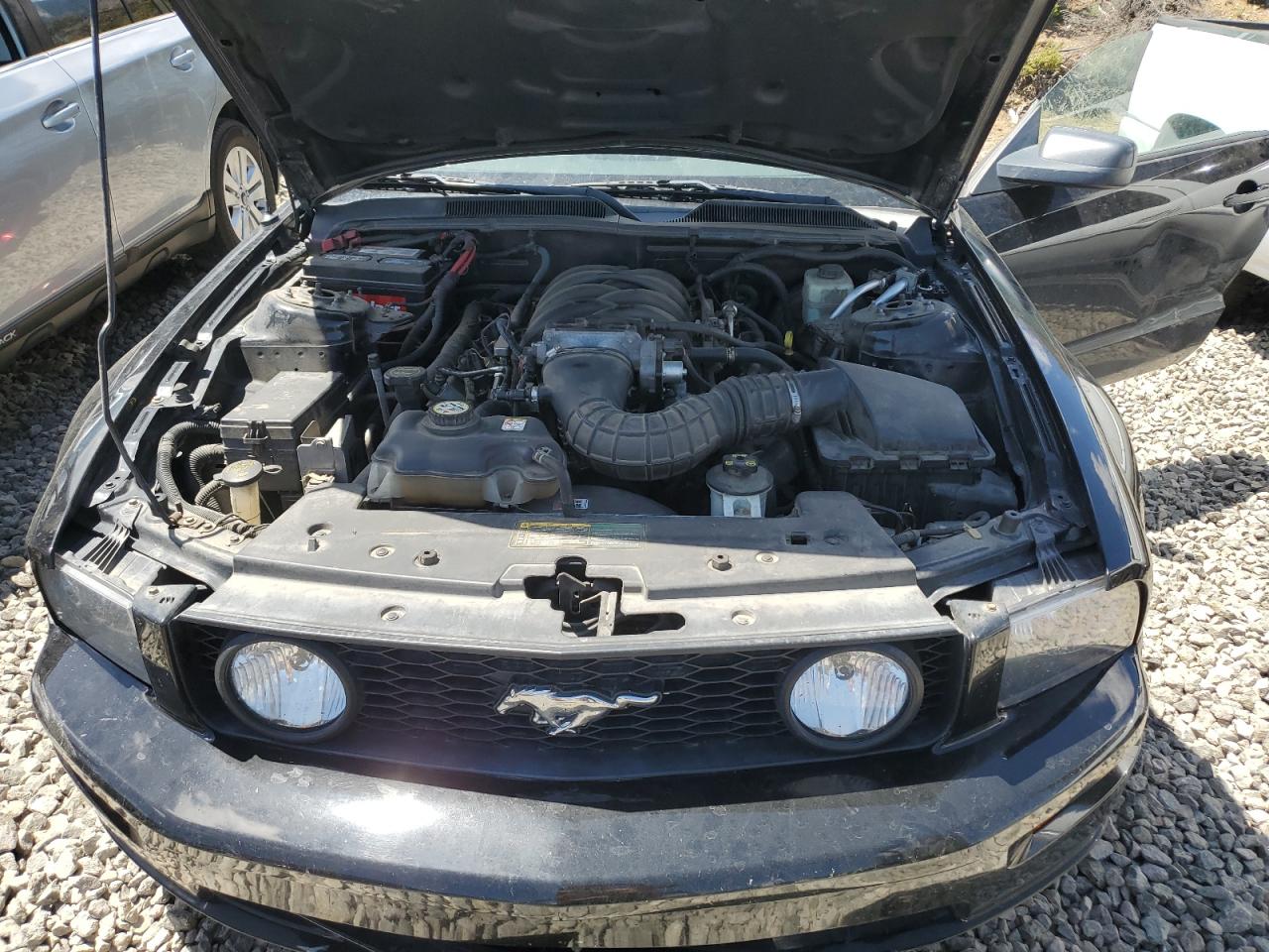 1ZVFT82H865215508 2006 Ford Mustang Gt