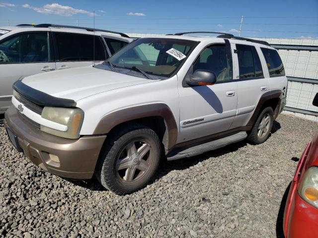 2002 Chevrolet Trailblazer VIN: 1GNDS13S922221917 Lot: 55315994