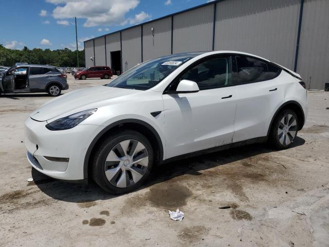 2021 Tesla Model Y VIN: 5YJYGDEE7MF183236 Lot: 55366634