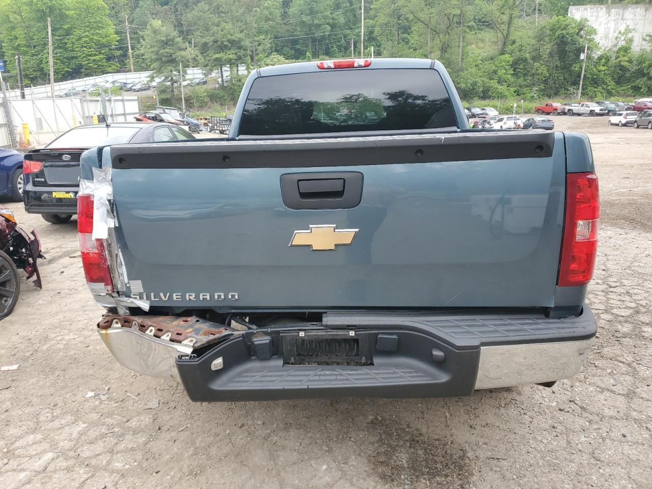 1GCSCPEX6AZ135110 2010 Chevrolet Silverado C1500