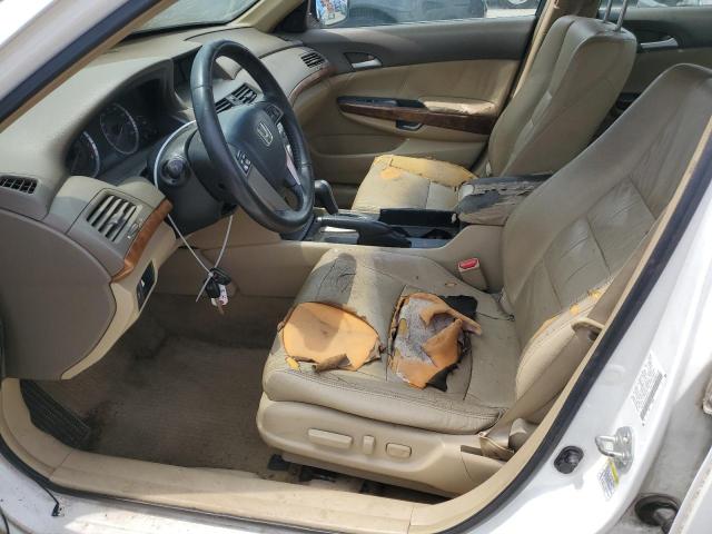 2009 Honda Accord Exl VIN: 1HGCP26879A044507 Lot: 53962584