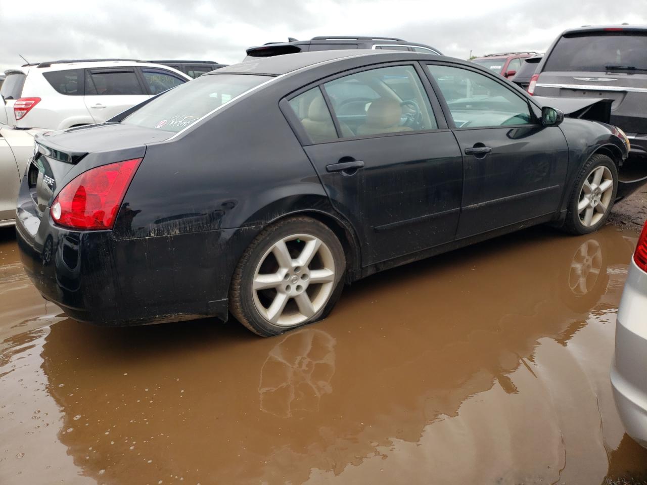 1N4BA41E65C828668 2005 Nissan Maxima Se