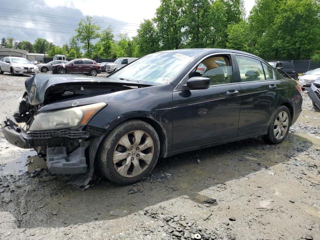 Lot #2537749615 2008 HONDA ACCORD EX salvage car