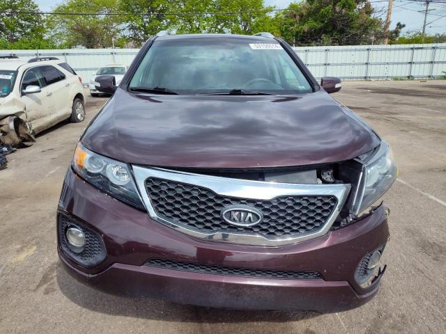 2013 Kia Sorento Lx VIN: 5XYKTCA67DG403624 Lot: 53156514