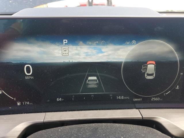 2024 Kia Telluride Sx VIN: 5XYP5DGC7RG445821 Lot: 55848364