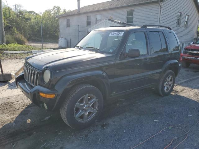 2003 Jeep Liberty Limited VIN: 1J8GL58K03W543741 Lot: 52813854