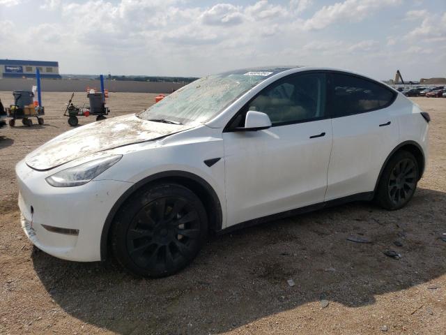 2023 Tesla Model Y VIN: 7SAYGDEE8PA060095 Lot: 54804384