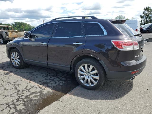 2008 Mazda Cx-9 VIN: JM3TB28V880156485 Lot: 56867324