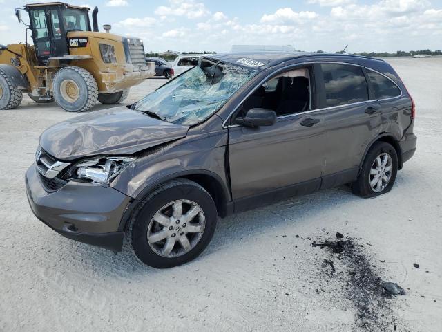 2011 Honda Cr-V Se VIN: 5J6RE3H46BL040614 Lot: 54167044