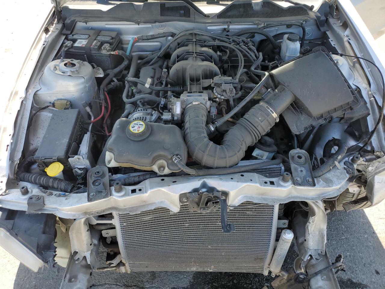 1ZVBP8EN0A5122334 2010 Ford Mustang