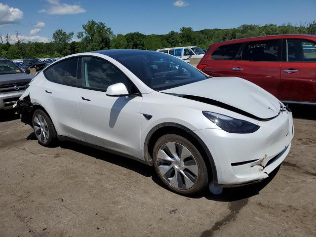 2023 Tesla Model Y VIN: 7SAYGDEE3PF805029 Lot: 56399674