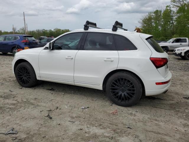 2014 Audi Q5 Premium VIN: WA1CFAFP6EA007875 Lot: 54496694