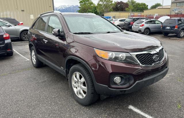 2011 Kia Sorento Base VIN: 5XYKTCA1XBG128526 Lot: 55832394