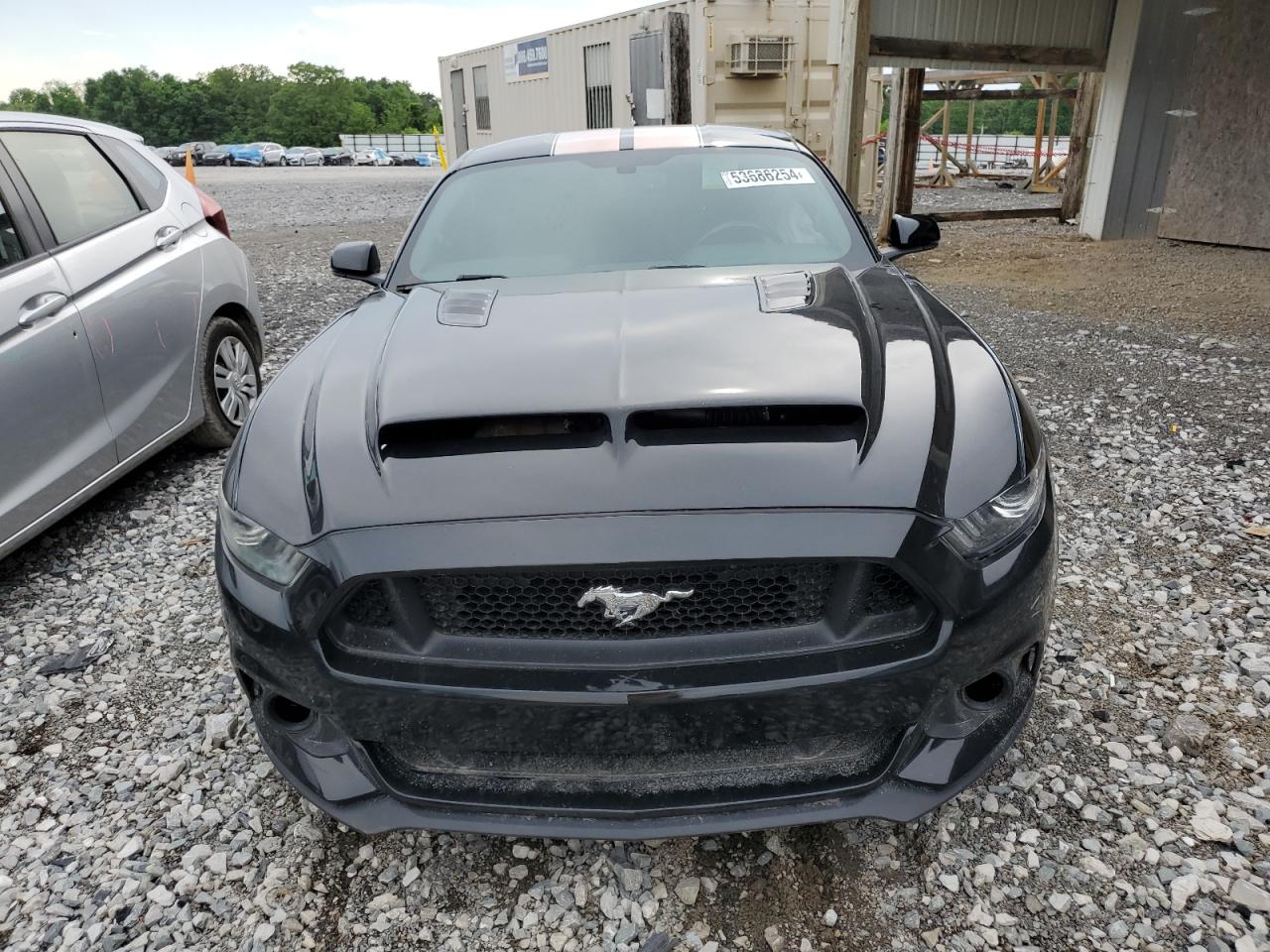 2015 Ford Mustang Gt vin: 1FA6P8CF4F5373533