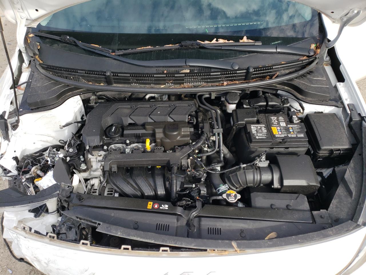 3KPA24AD5NE436445 2022 Kia Rio Lx