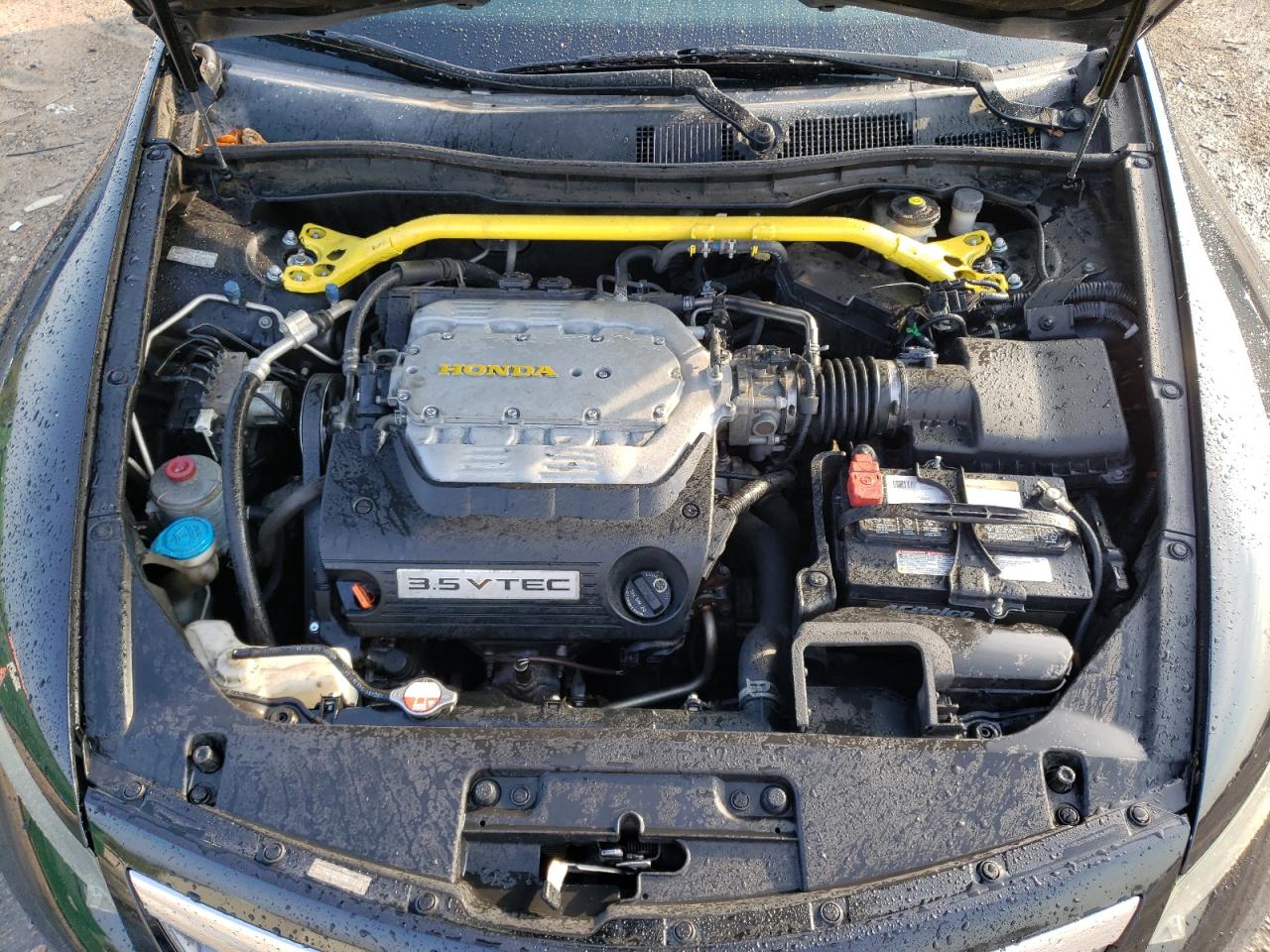 1HGCS2A85BA008018 2011 Honda Accord Exl